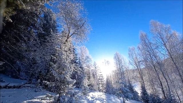 Мне так чудесно повезло!