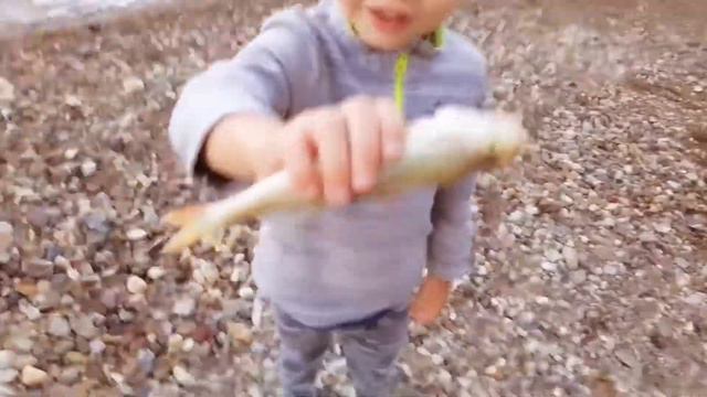 Поездка на Ириклинское водохранилище август 2020. смотреть онлайн