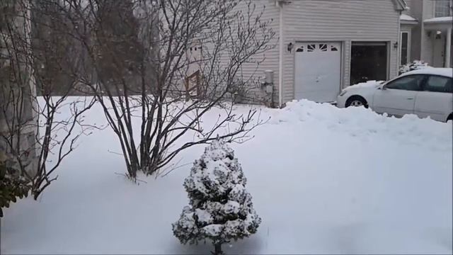 "А СНЕГ ИДЕТ" — поет Майя Кристалинская. Video by Sam Zilman 03-17-2017 смотреть онлайн