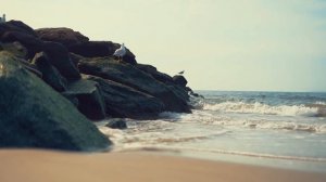 “Места Писания о преуспевании“