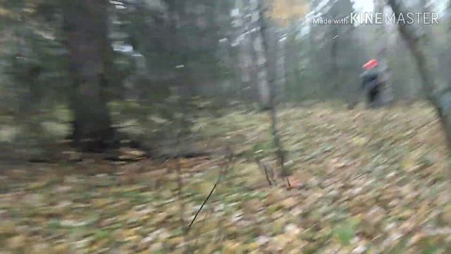 Приключения иностранцев в России!!! Охота на вальдшнепа смотреть онлайн