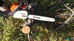 Первый опыт работы с бензопилой. Учусь работать правильно. Бензопила Stihl MS 180-16_ 40 см