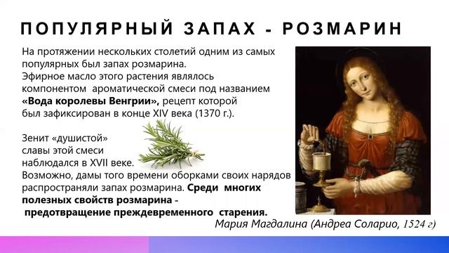 Эволюция  обоняния. Занятие 21 августа