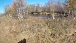 Покатушки  по болоту на Cfmoto x5 H.O. и x8 H.O.