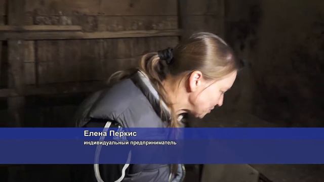 День предпринимателя г. Солнечногорск