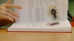 Красная книга Урала