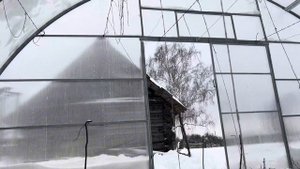 В теплице тепло и сухо ,растет петрушка ,салат и лук . Завалило снегом теплицы .