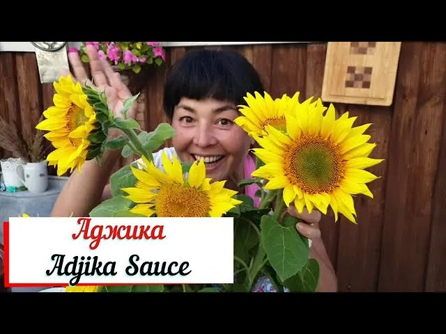 Аджика – приправа кавказской кухни.