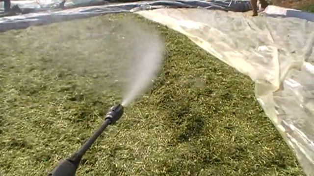 Сенаж. Орыскивание верхнего слоя перед укрытием смотреть онлайн