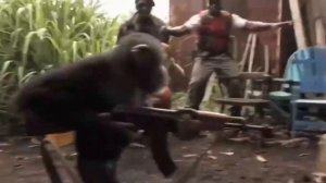 Крутая обезьяна с калашом