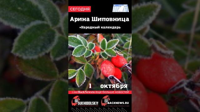 Сегодня,1 октября , в этот день отмечают праздник, Арина Шиповница