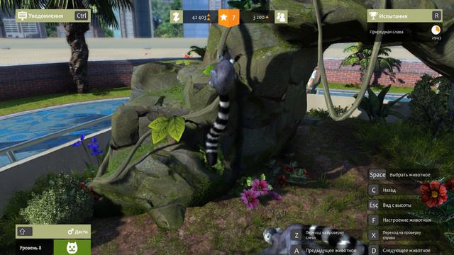 Зоопарк. Лемуры в зоопарке смотреть онлайн