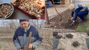 Жизнь после шторма | Садовые дела в декабре | Охота на кротов
