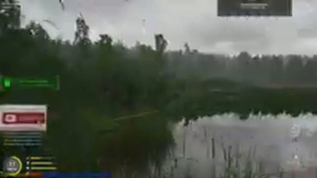 Фарм в Русская рыбалка 4 | общение на стриме | Стрим русская рыбалка смотреть онлайн