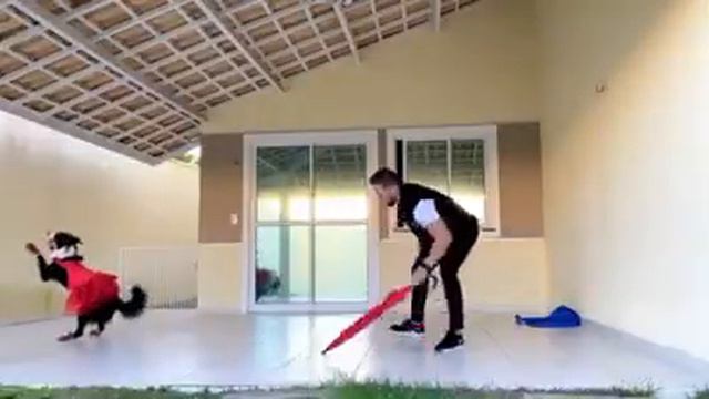 Танец с собакой смотреть онлайн