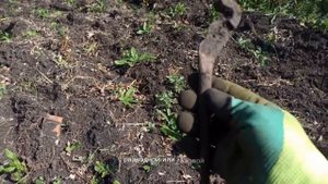 Копаем Металл, Металлокоп с quest x5. Коп Металла. Копаем Черный Металл. Копаем Чермет. #коп