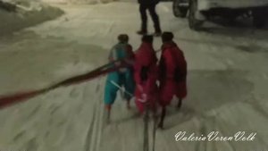 🐕Левретки в упряжке :)