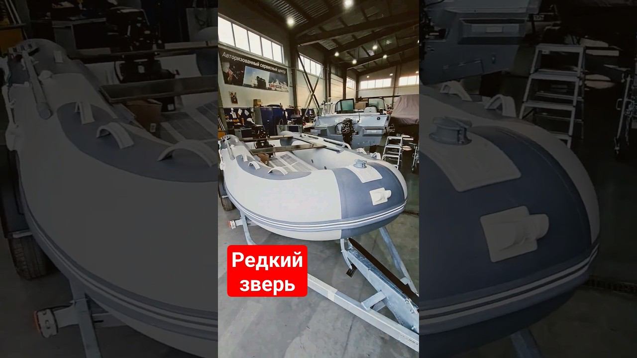 Алюминиевый РиБ GLADIATOR RIB420AL