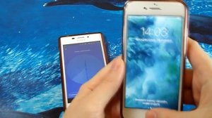 Как перенести контакты, календарь, заметки с Android на iPhone AndroidToIPhone способ № 2