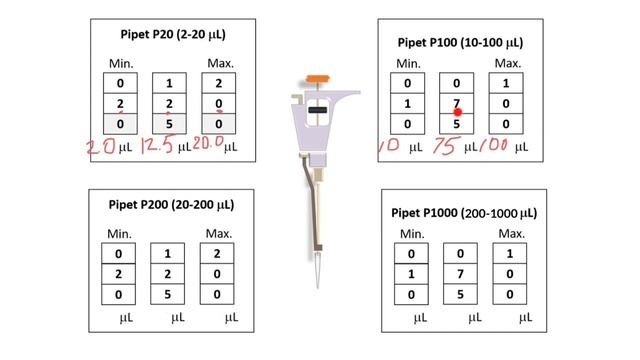 How To Set A Micropipettor