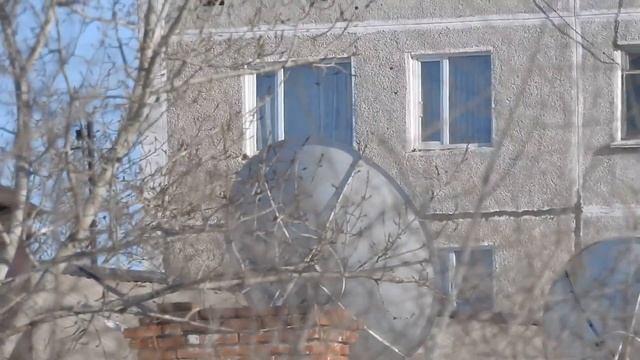 тест суперзума Nikon P900