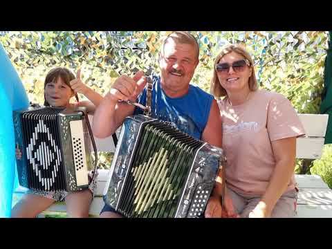 Алёнушка. Песня под гармонь.