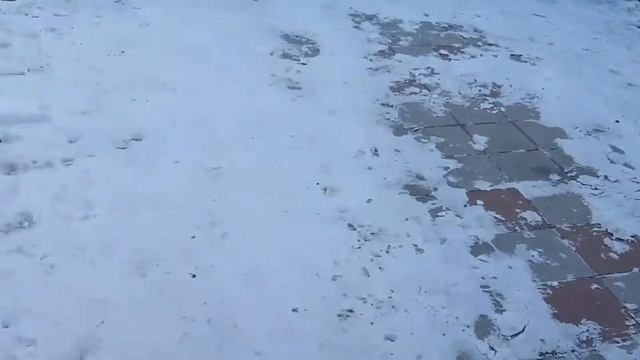 ура телега!! смотреть онлайн