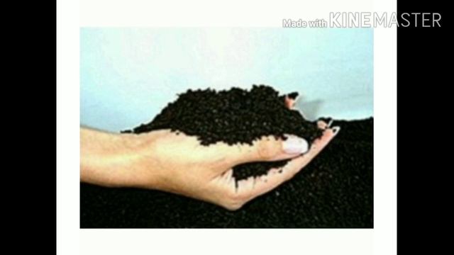 Технология 6 класс