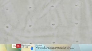 Как купить цемент? Разоблачаем подделку!