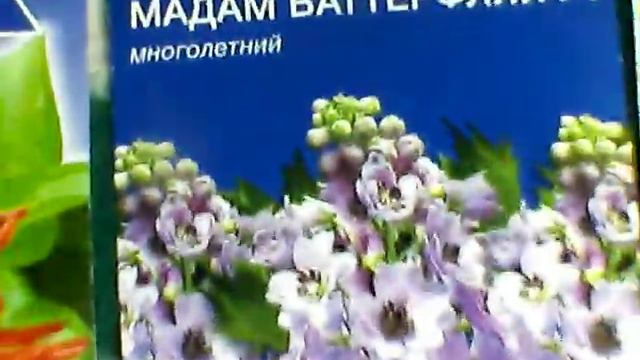 Семена цветов обзор на 2022год смотреть онлайн