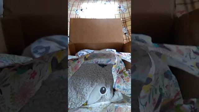 Reborn Box Opening! Baby Oswald is here! 2018! Part 1 смотреть онлайн