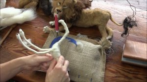 Needle Felted Lion: Sarafina Felting Eweniversity