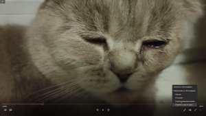 Как сжать видео без потери качества? Конвертировать в мр4 | БЫСТРЫЙ СПОСОБ / БЕЗ СТОРОННИХ ПРОГРАММ