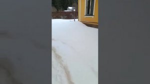 Продается дача ,  по документам дом с участком в Одинцовском районе в СНТ " Энергия-5 ".