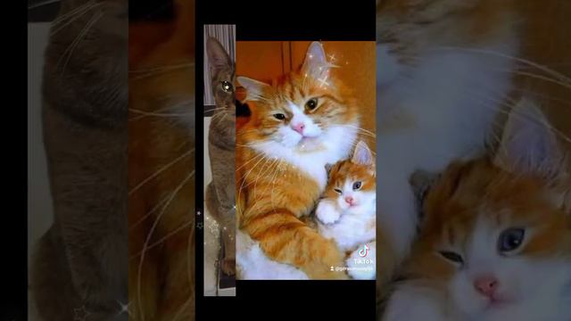 Здравствуй мир, здравствуй друг. смотреть онлайн