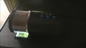 Аквариумные хитрости, или 
как уехать в отпуск...