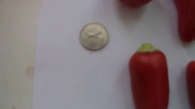 Болгарские перчики на подоконнике смотреть онлайн