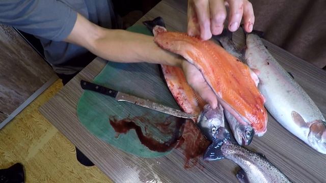 Как быстро и просто разделать форель на филе без костей. Мой любимый способ разделки рыбы. смотреть онлайн