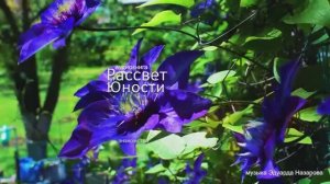 Рассвет Юности введение