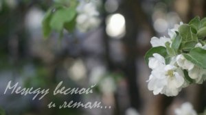 Анна В. — Между весной и летом
(музыка Анны Воловик)