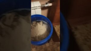 Гречка на кодзях. Тютелька в тютельку.