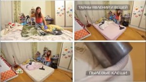 Анализ и обработка от пылевых клещей