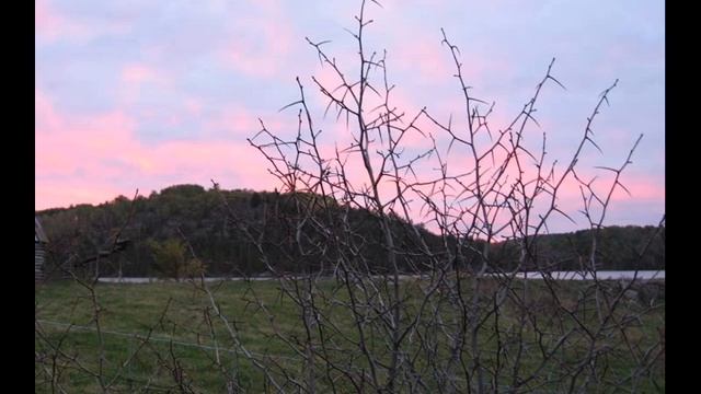 русская классическая гитара русский романс song Andrei Krylov смотреть онлайн