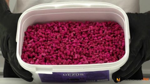 Средство от грызунов, крыс и мышей DEZUS (Дезус) (гранулы). Уничтожение грызунов.