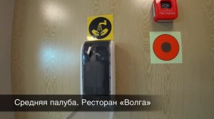 Теплоход «Николай Чернышевский». Обзор