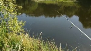 Ловля ротана на мормышку.