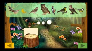 Музыкально-дидактическая игра "Птичий оркестр"