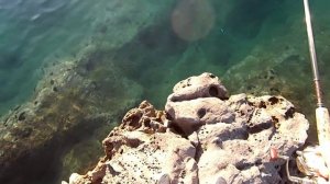 Рыбалка в Черногории 2015г