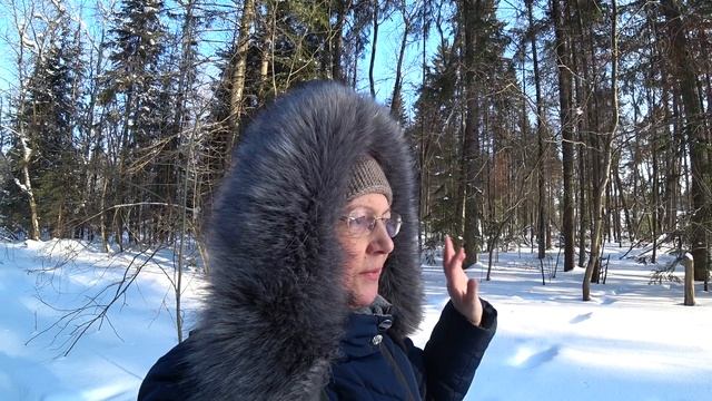 Зимой в лес 9 февр 2022  1 часть