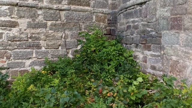 Копорская крепость... найден фрагмент крепости звезды? смотреть онлайн